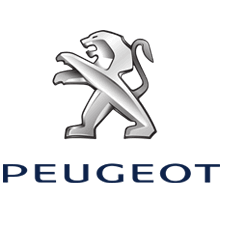 Peugeot Car Paint