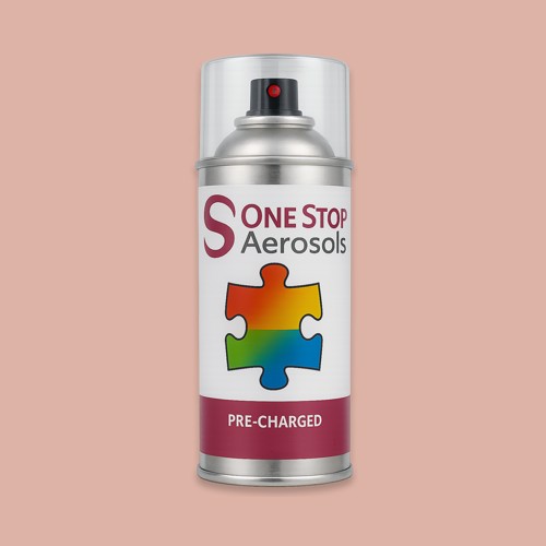British Standard 1-020 Aerosol Spray Paint