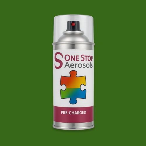 British Standard 381C Light Brunswick Green 225 Aerosol Spray Paint