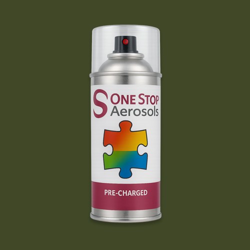 British Standard 381C Middle Bronze Green 223 Aerosol Spray Paint