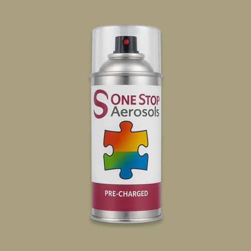 British Standard 381C Middle Brown 411 Aerosol Spray Paint