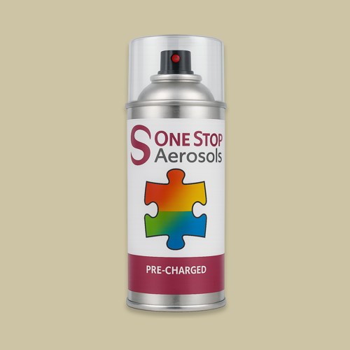British Standard 4-047 Aerosol Spray Paint