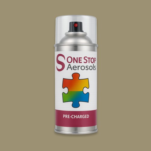 British Standard 4-049 Aerosol Spray Paint