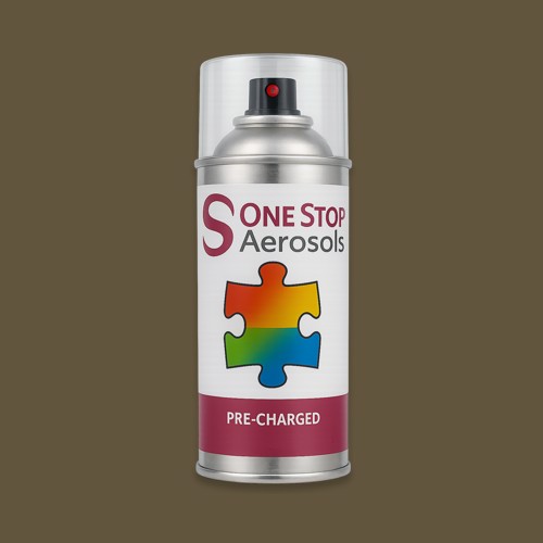 British Standard 4800 - 10 C 39 Aerosol Spray Paint