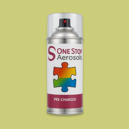 British Standard 4800 - 12 D 41 Aerosol Spray Paint