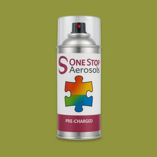 British Standard 4800 - 12 D 43 Aerosol Spray Paint