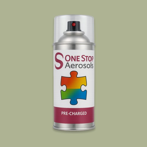 British Standard 5-059 Aerosol Spray Paint