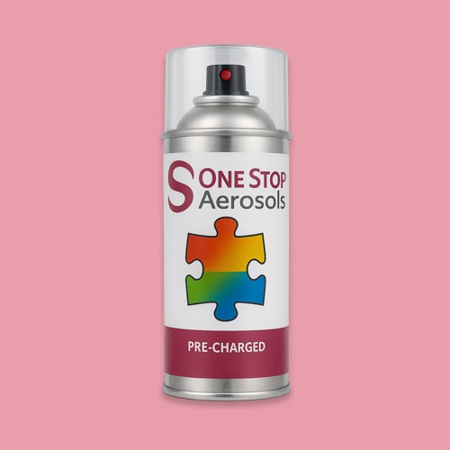 BS 5252 02 D 41 Aerosol Spray Paint