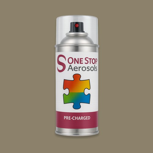 British Standard 5252 10 B 23 Aerosol Spray Paint