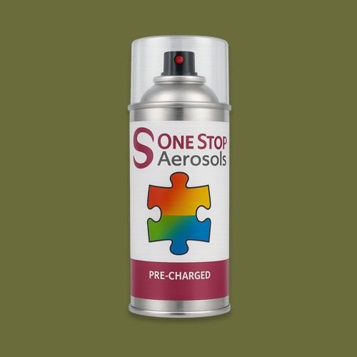 British Standard 5252 12 D 45 Aerosol Spray Paint