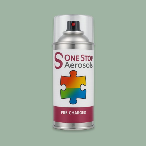 British Standard 5252 14 C 35 Aerosol Spray Paint