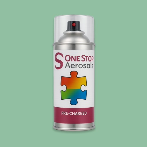 British Standard 5252 14 D 41 Aerosol Spray Paint