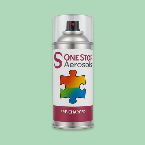British Standard 5252 14 E 50 Aerosol Spray Paint