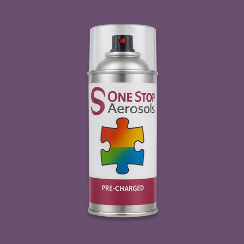 British Standard 5252 24 C 39 Aerosol Spray Paint