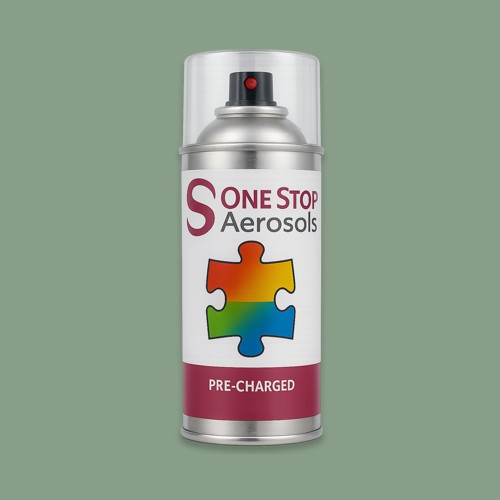 British Standard 6-066 Aerosol Spray Paint