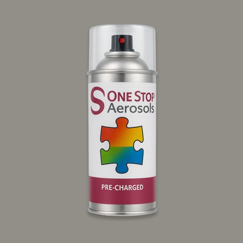 BS 9-096 Aerosol Spray Paint