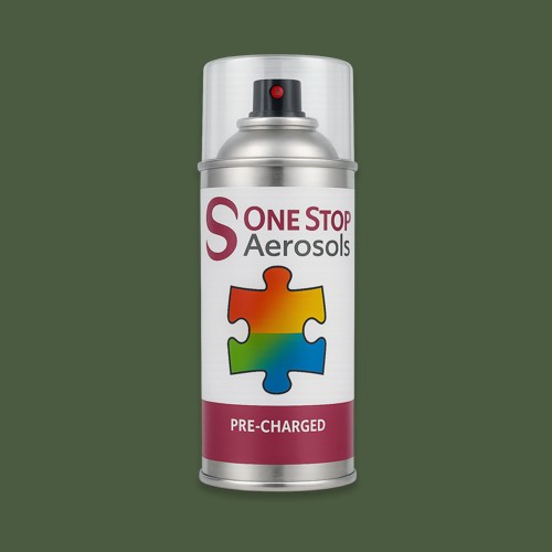 Master Chroma CG6255 - Green 6255 Aerosol Spray Paint