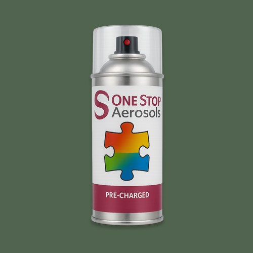 Master Chroma CG6257 - Green 6257 Aerosol Spray Paint