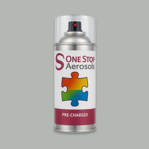 Master Chroma Isofan - N9191 - Neutral Aerosol Spray Paint