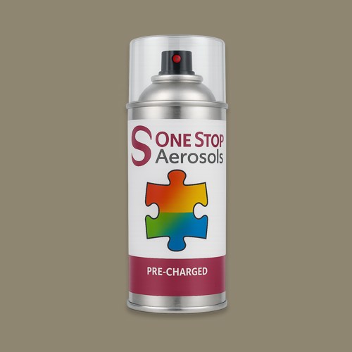 Master Chroma Isofan - N9202 - Neutral Aerosol Spray Paint