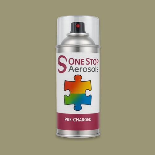 Master Chroma Isofan - N9210 - Neutral Aerosol Spray Paint