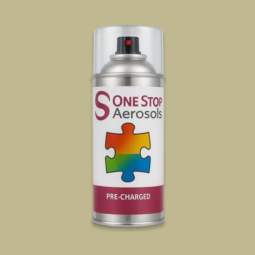 Master Chroma Isofan - N9211 - Neutral Aerosol Spray Paint