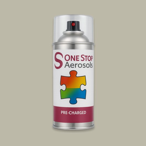 Master Chroma Isofan - N9298 - Neutral Aerosol Spray Paint