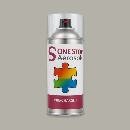 Master Chroma Isofan - N9311 - Neutral Aerosol Spray Paint