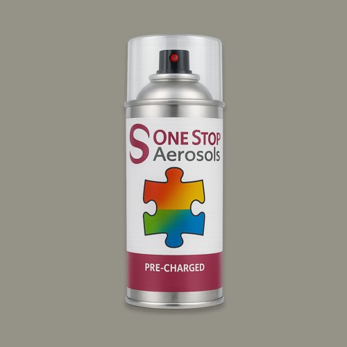 Master Chroma Isofan - N9348 - Neutral Aerosol Spray Paint