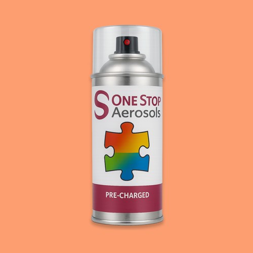 Pantone 163 Aerosol Spray Paint