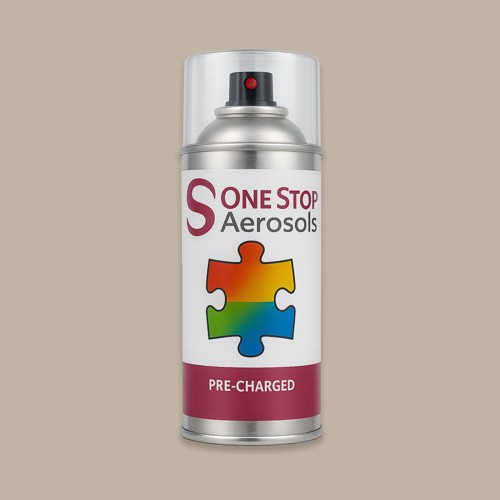 Pantone 401 Aerosol Spray Paint