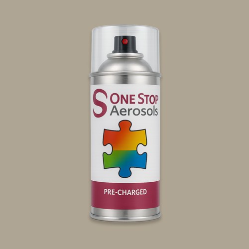 Pantone 402 Aerosol Spray Paint