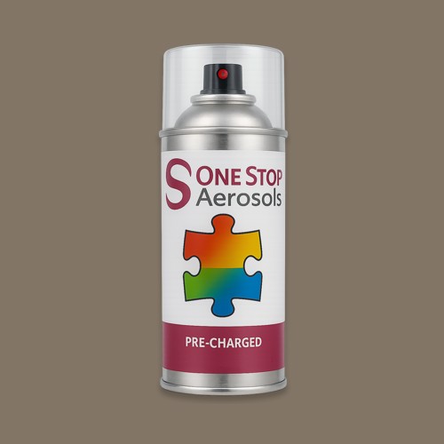 Pantone 404 Aerosol Spray Paint