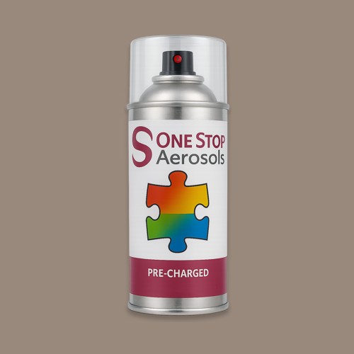 Pantone 409 Aerosol Spray Paint