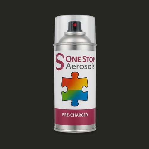 Pantone 419 Aerosol Spray Paint