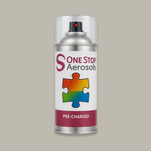 Pantone 421 Aerosol Spray Paint