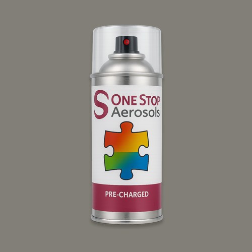 Pantone 424 Aerosol Spray Paint