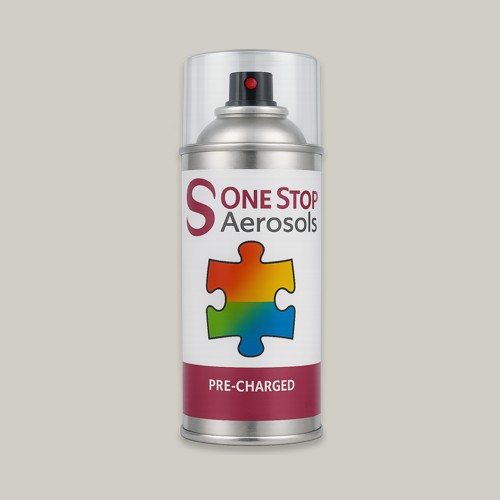 Pantone 428 Aerosol Spray Paint