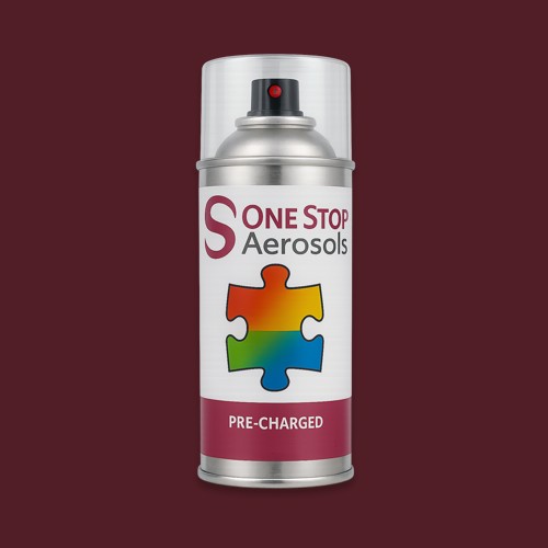 Pantone 504 Aerosol Spray Paint