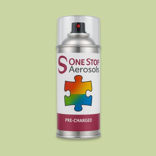 Pantone 579 Aerosol Spray Paint