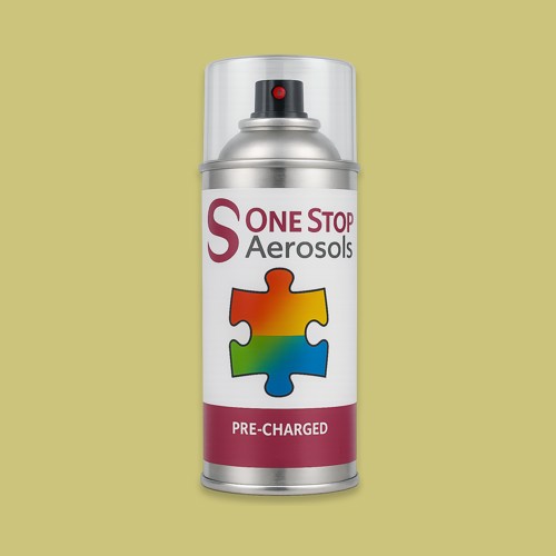 Pantone 617 Aerosol Spray Paint