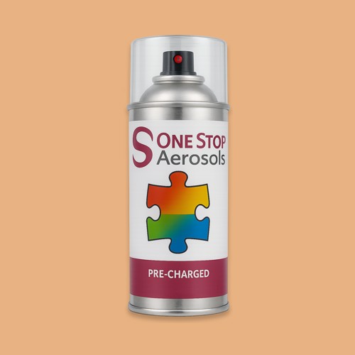 Pantone 721 Aerosol Spray Paint