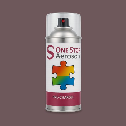 RAL 010 40 10 Aerosol Spray Paint