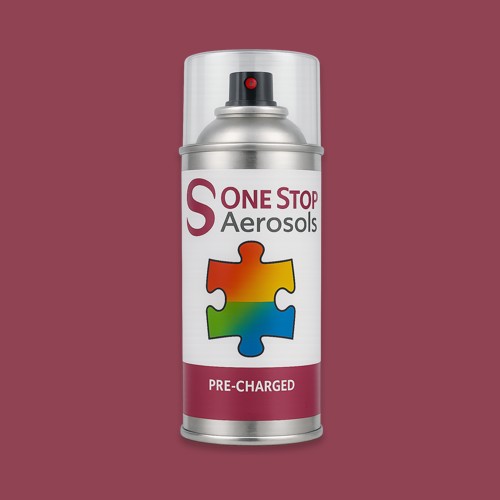 RAL 010 40 35 Aerosol Spray Paint