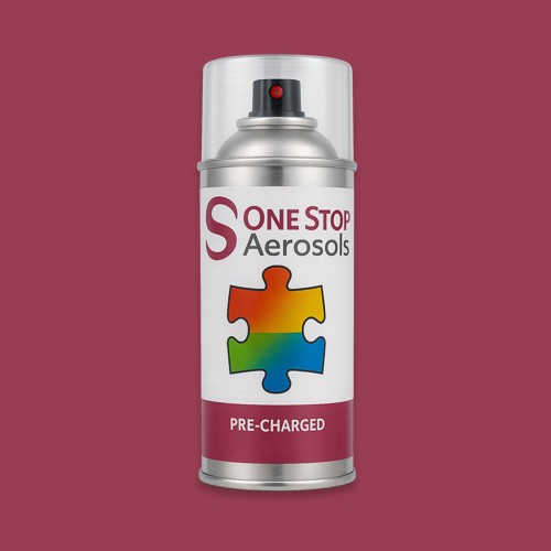 RAL 010 40 40 Aerosol Spray Paint