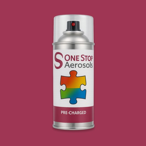 RAL 010 40 45 Aerosol Spray Paint