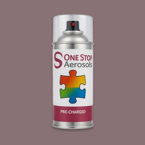 RAL 010 50 10 Aerosol Spray Paint