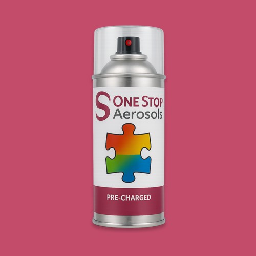 RAL 010 50 50 Aerosol Spray Paint