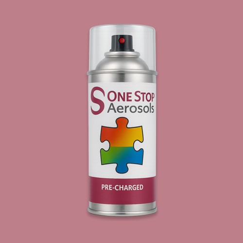 RAL 010 60 25 Aerosol Spray Paint