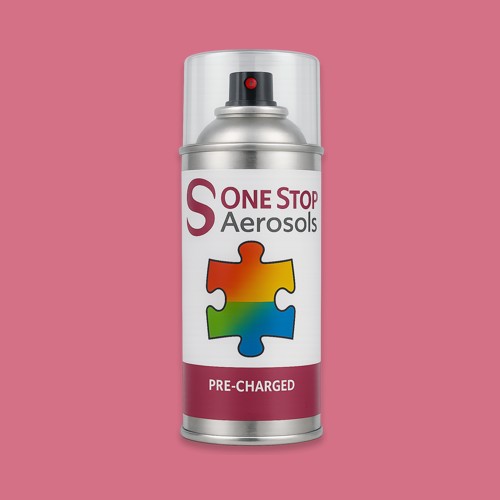 RAL 010 60 40 Aerosol Spray Paint